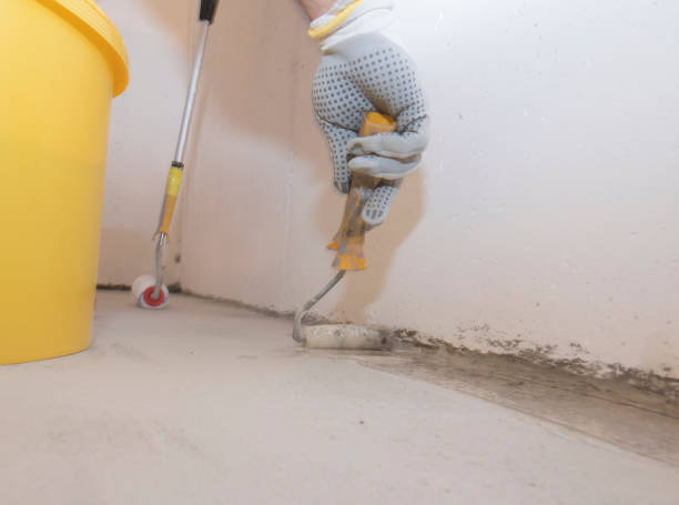 Best Pest Exclusion Services  in Sunrise, FL